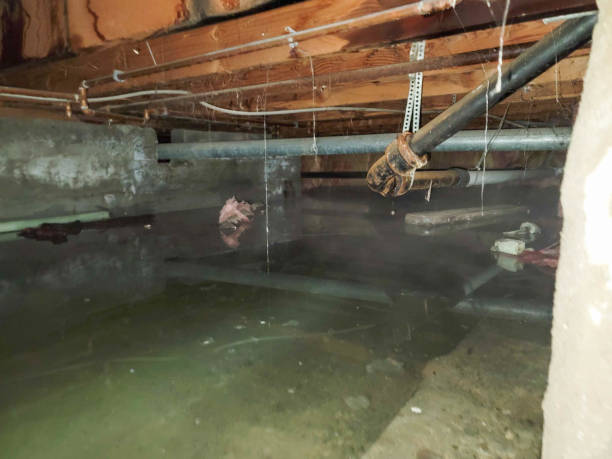 Best 24-hour water damage restoration  in Selma, AL