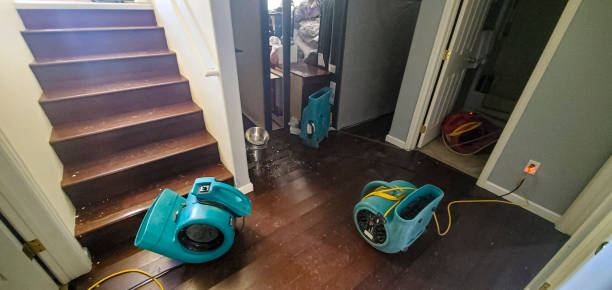 Best Water damage restoration insurance claims  in Selma, AL