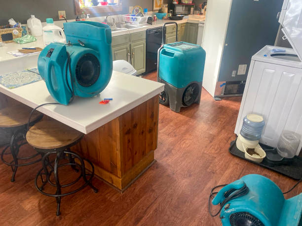 Best Local water damage restoration  in Selma, AL