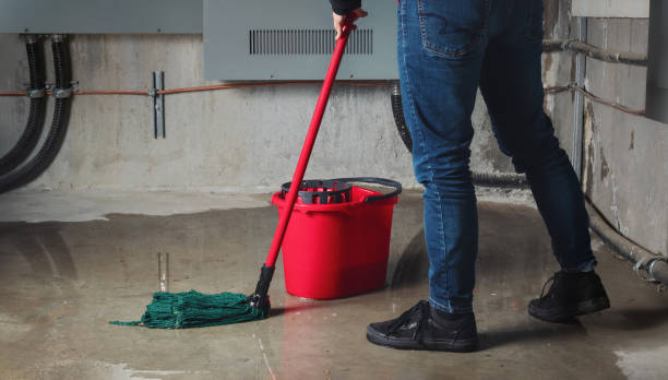 Best Water damage contractors near me  in Selma, AL