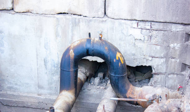 Best Water damage restoration near me  in Selma, AL