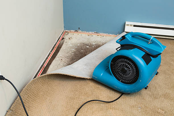 Best Sewage cleanup and water damage restoration  in Selma, AL